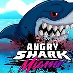Hình ảnh một con cá mập to lớn với biểu cảm hung dữ, cùng chữ Angry Shark Miami nổi bật ở phía dưới