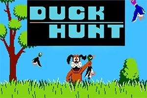 This is a very well done remake of the classic Nintendo game Duck Hunt