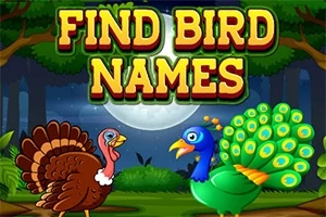Tranh vẽ hai chú chim một con công và một con gà tây, với chữ FIND BIRD NAMES nổi bật phía trên, trong bối cảnh rừng cây vào ban đêm