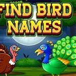 Tranh vẽ hai chú chim một con công và một con gà tây, với chữ FIND BIRD NAMES nổi bật phía trên, trong bối cảnh rừng cây vào ban đêm
