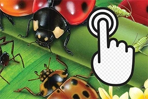 Các loài côn trùng như bọ rùa và dế mèn trên nền lá xanh, với biểu tượng tay chạm màn hình