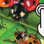 Các loài côn trùng như bọ rùa và dế mèn trên nền lá xanh, với biểu tượng tay chạm màn hình