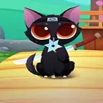 Một con mèo đen với đôi tai hồng đội băng đô ninja, cầm phi tiêu và đứng trên con đường gỗ với thanh kiếm phía sau