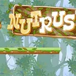 Help the squirrel gather acrons for the winter
