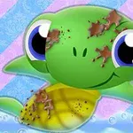 Rub-a-dub-dub ... baby turtles in the tub!
